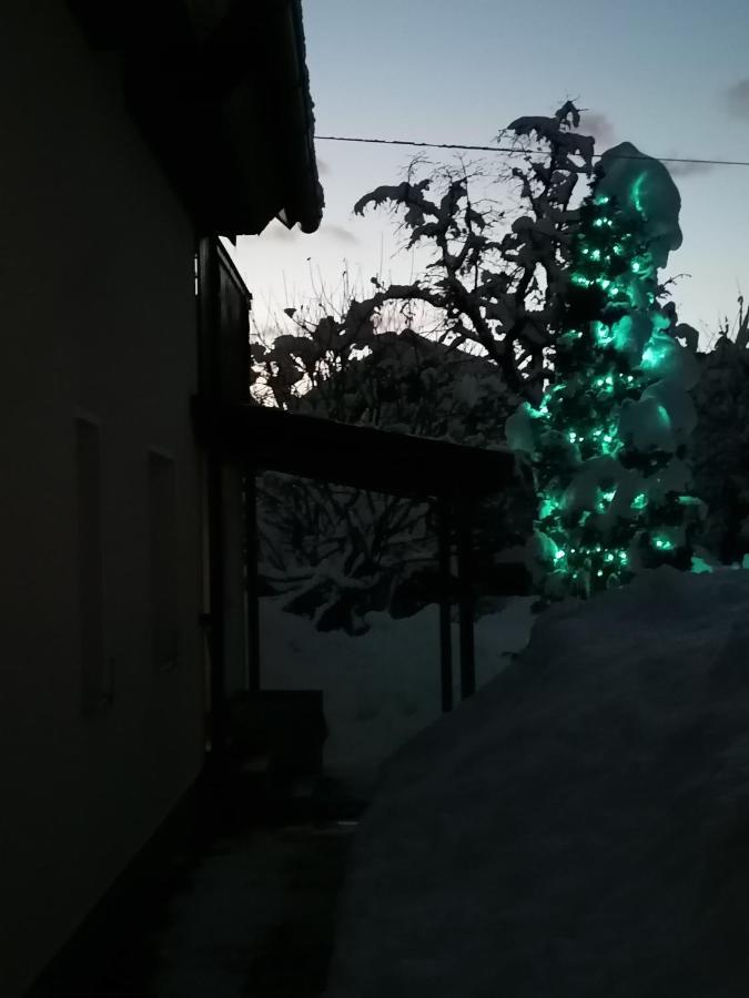 Zbogar Apartment Rateče Екстериор снимка